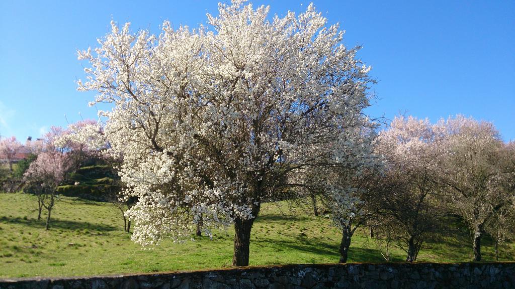 Flor Do Douro - Comercio E Hotelaria, Lda Miranda do Douro Luaran gambar
